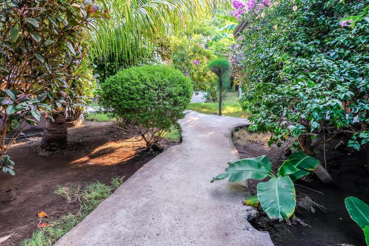 Nelly Homestay غيلي آير المظهر الخارجي الصورة